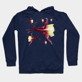 Aquilegia &#39;Rose Queen&#39; Columbine Hoodie